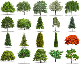 高清树木花卉绿植免抠贴图   