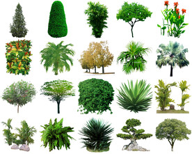 高清树木花卉绿植免抠贴图