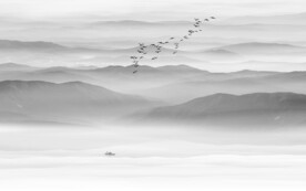 灰色水墨山水画