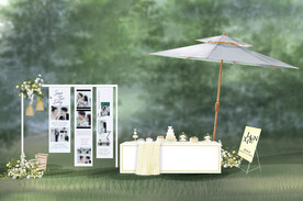 户外婚礼白绿婚礼婚礼效果图