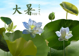 二十四节气 大暑