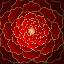 富贵牡丹装饰画地画