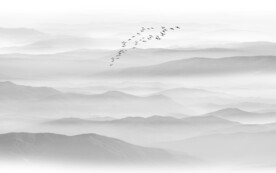 灰色电视水墨山水画