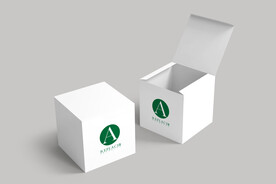 礼品包装盒样机