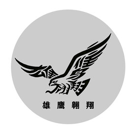 雄鹰翱翔字体象形字