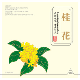 矢量桂花彩色手绘线描