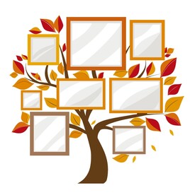 照片树