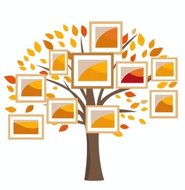 照片树矢量