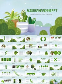 绿色多肉植物养殖绿色欣赏PPT