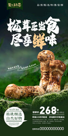 松茸海报