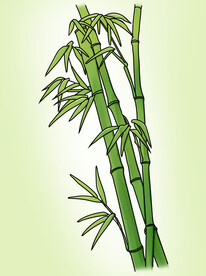 手绘青绿色竹子插画