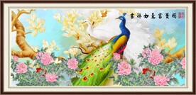 花开富贵孔雀图