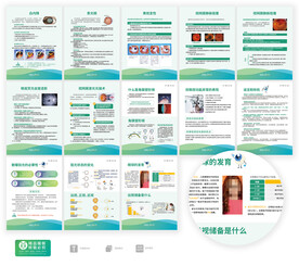 眼科展板