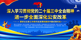 学习二十届三中全会精神展板