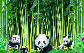熊猫竹林装饰画背景墙