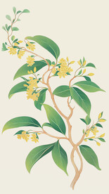 手绘桂花树免扣素材