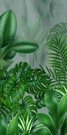 北欧ins简约绿色热带植物玄关