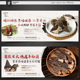 羊肚菌海报
