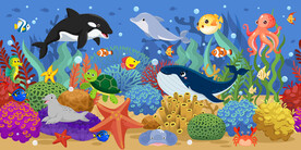 可爱鲸鱼卡通海底动物水族馆背景