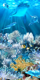 缤纷海底世界可爱海豚玄关