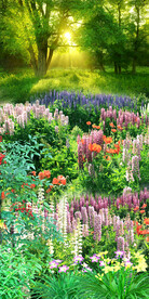 时尚树林风景玄关背景墙