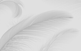 淡雅羽毛线条沙发电视背景墙