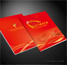 党委工作汇报封面