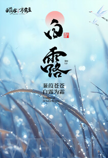 白露高端海报