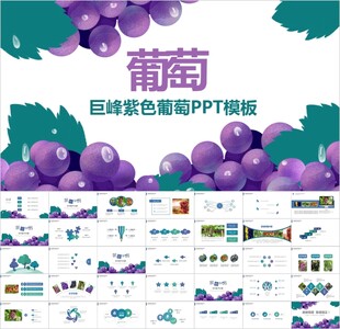 葡萄巨峰葡萄园PPT模板