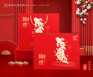 年货包装 新年礼盒