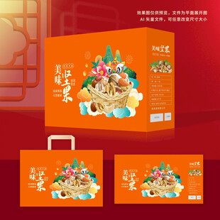 坚果包装 年货礼盒