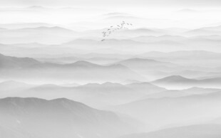 水墨意境山水画