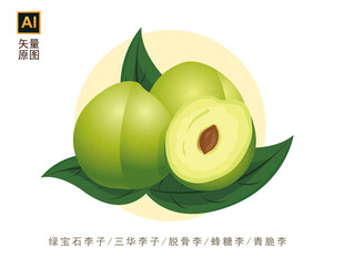 青脆李素材