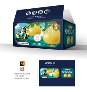 琯溪蜜柚包装