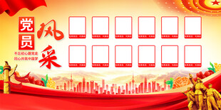 党员风采展板