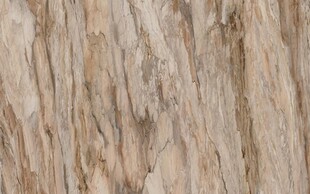 咖啡色大理石石纹