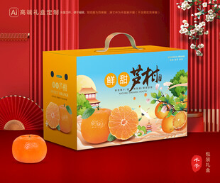 芦柑包装 椪柑礼盒