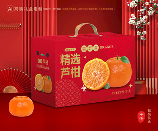 芦柑包装 椪柑礼盒