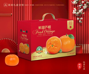 芦柑包装 椪柑礼盒