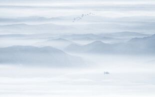 禅意水墨山水画背景墙