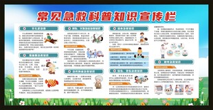 常见急救知识宣传栏