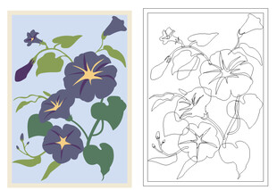 牵牛花花卉夕颜花紫色藤蔓植物