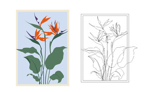 天堂鸟鹤望兰花卉橙色植物cdr