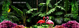 热带植物