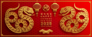 蛇年纹理图片