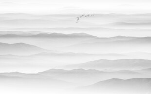 水墨风景素材背景