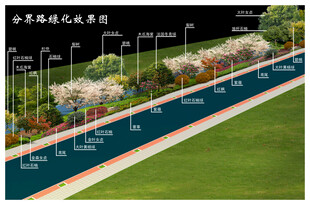 道路绿化效果图