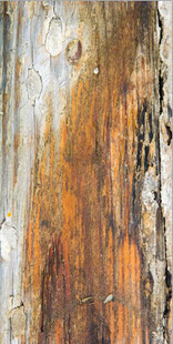 高清斑驳红褐色墙面纹理