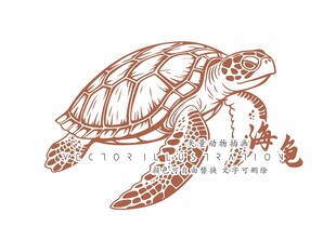 海龟