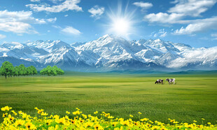 蓝天白云大草原